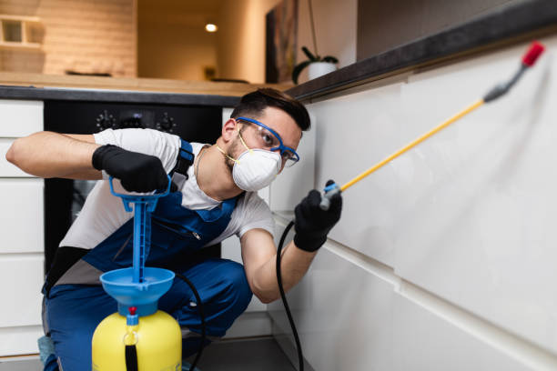 Best Affordable Pest Control Services  in Rochester, IL