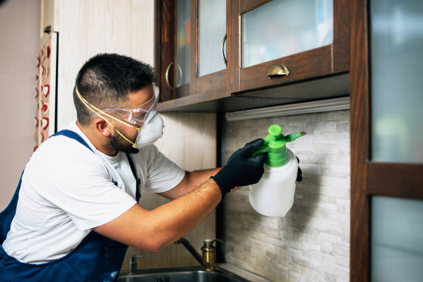 Best Exterminator Services  in Rochester, IL