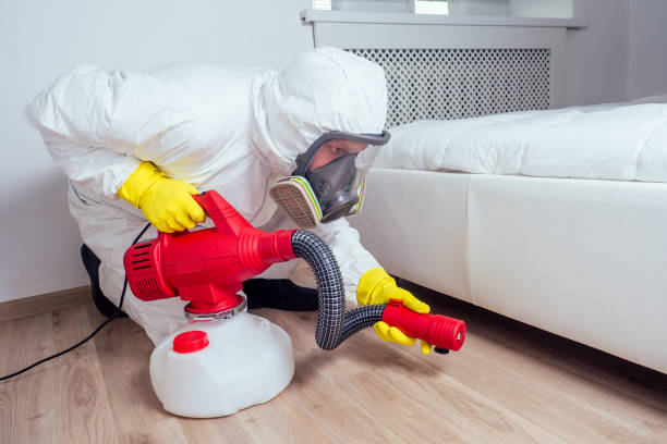 Best Pest Inspection Near Me  in Rochester, IL