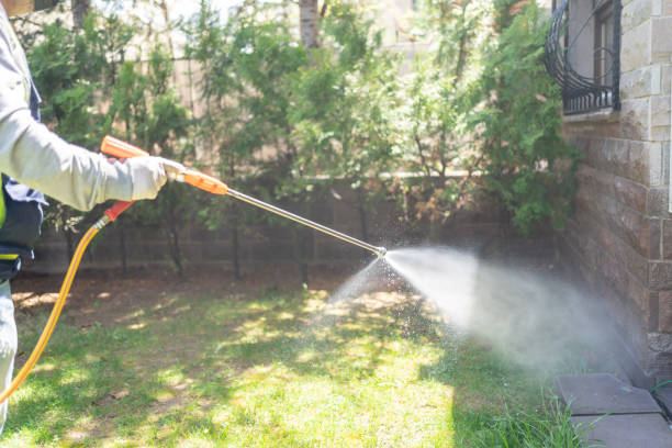 Professional Pest Control in Rochester, IL