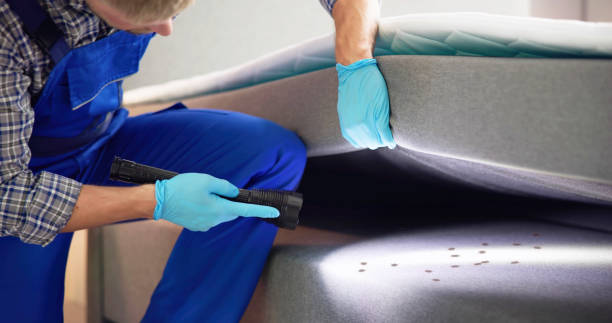Best Pest Control for Businesses  in Rochester, IL